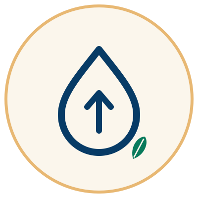 Septic Tank Pumping - Palmetto Septic Pros